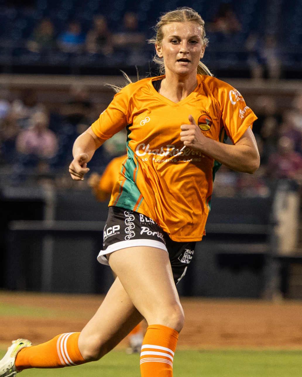 Untitled design (14)